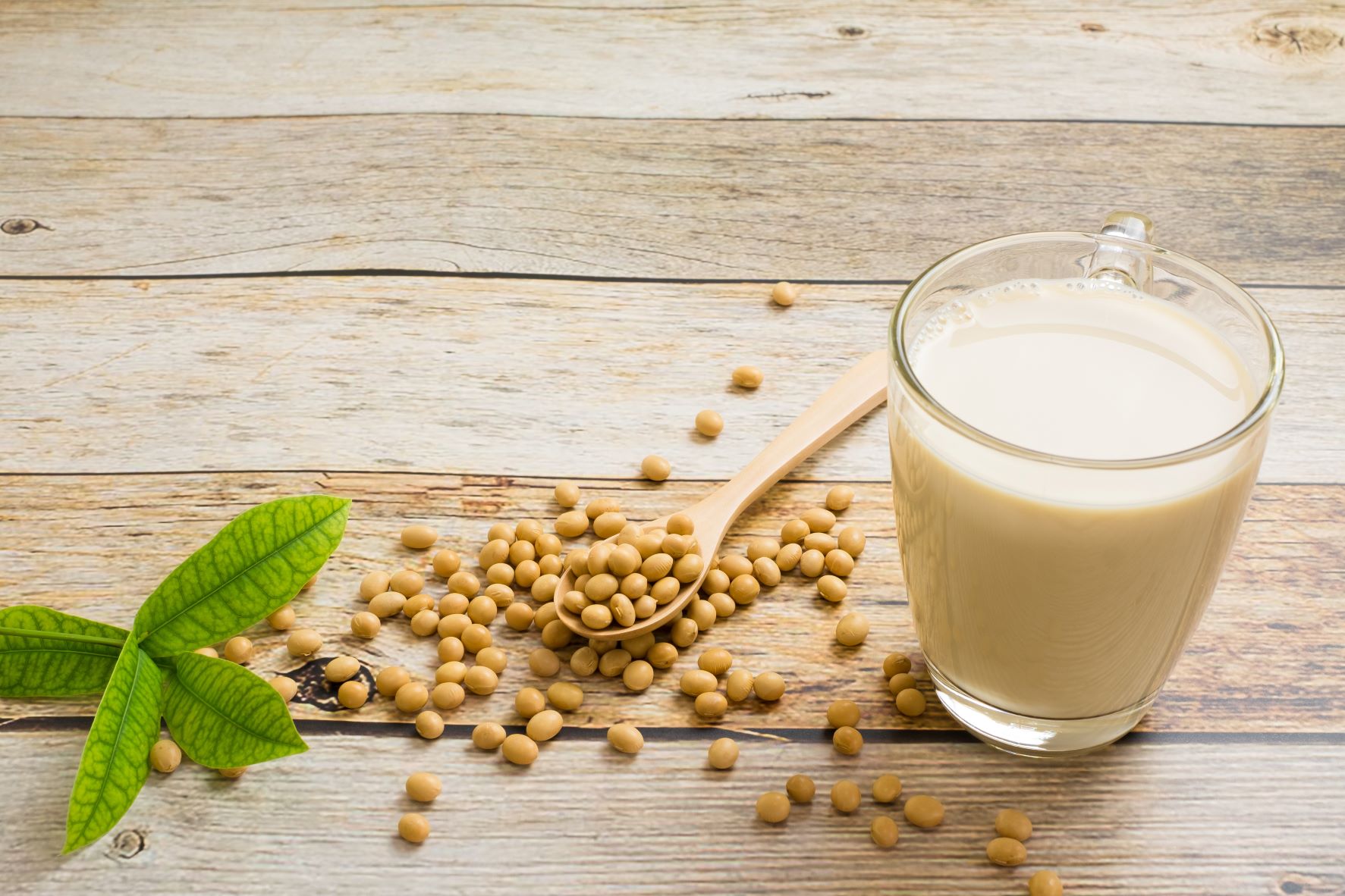 6 mitos e verdades sobre a proteína isolada da soja