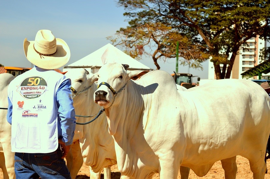 Presidente da Comissão Organizadora avalia 50ª ExpoAgro Barretos e confirma edição de 2019