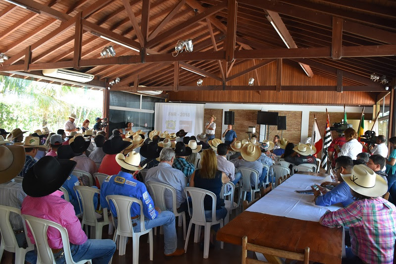 Confederação Nacional do Rodeio anunciou premiação de R$ 250 mil para campeão de montaria em touro