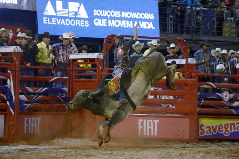 Festa de Barretos define primeiros campeões no rodeio e pluralidade nas atrações dos shows