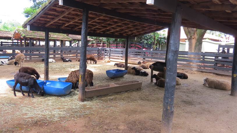 SENAR/SP realiza curso de Turismo Rural no Parque do Peão em Barretos