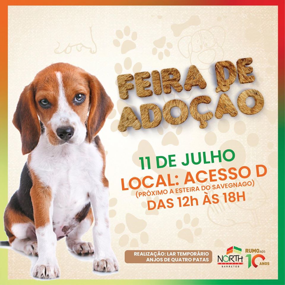 Feirinha de Adoção acontece nesse sábado no North Shopping