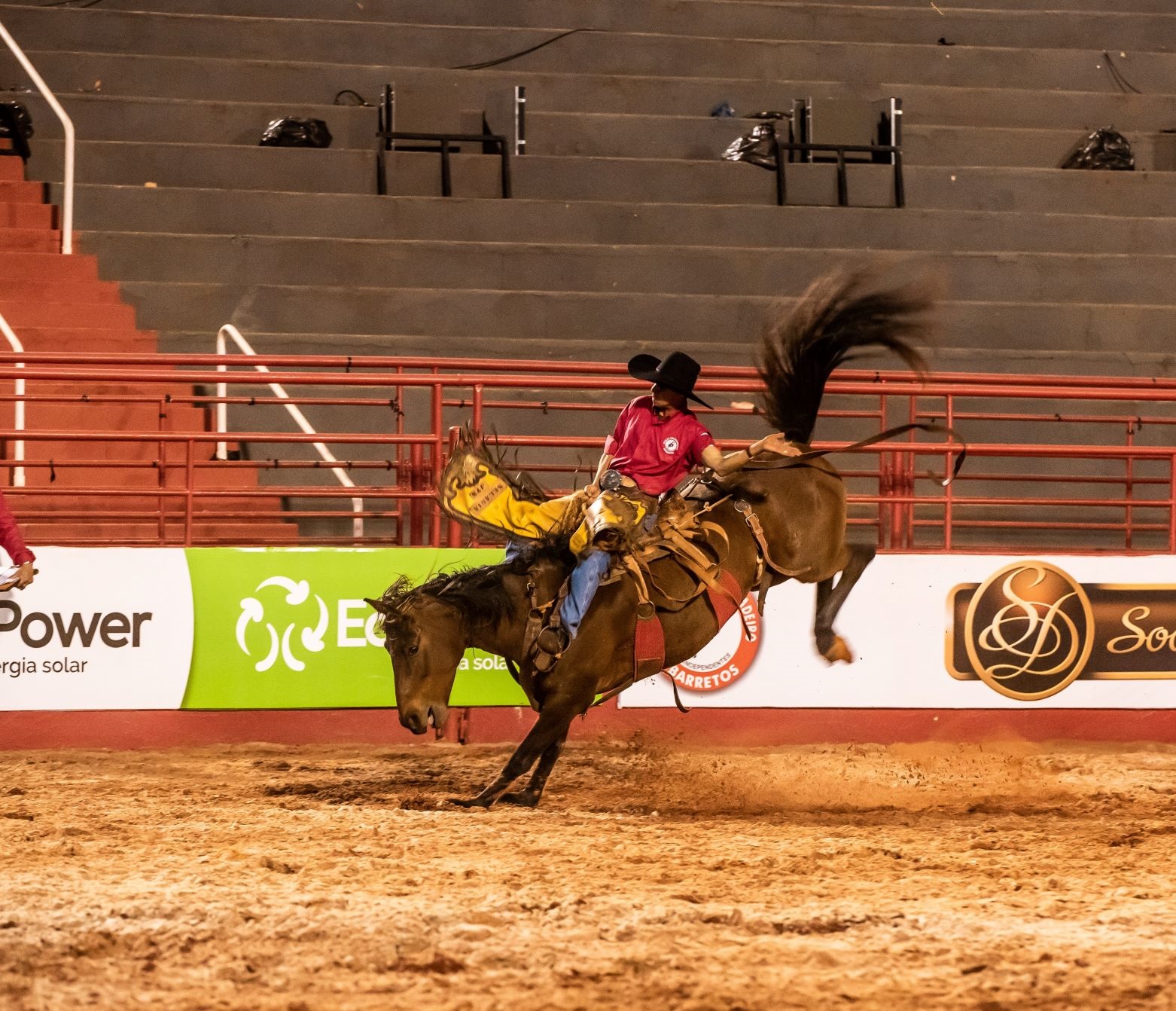 Barretos aposta em live para fomentar rodeio até retomada dos eventos presenciais